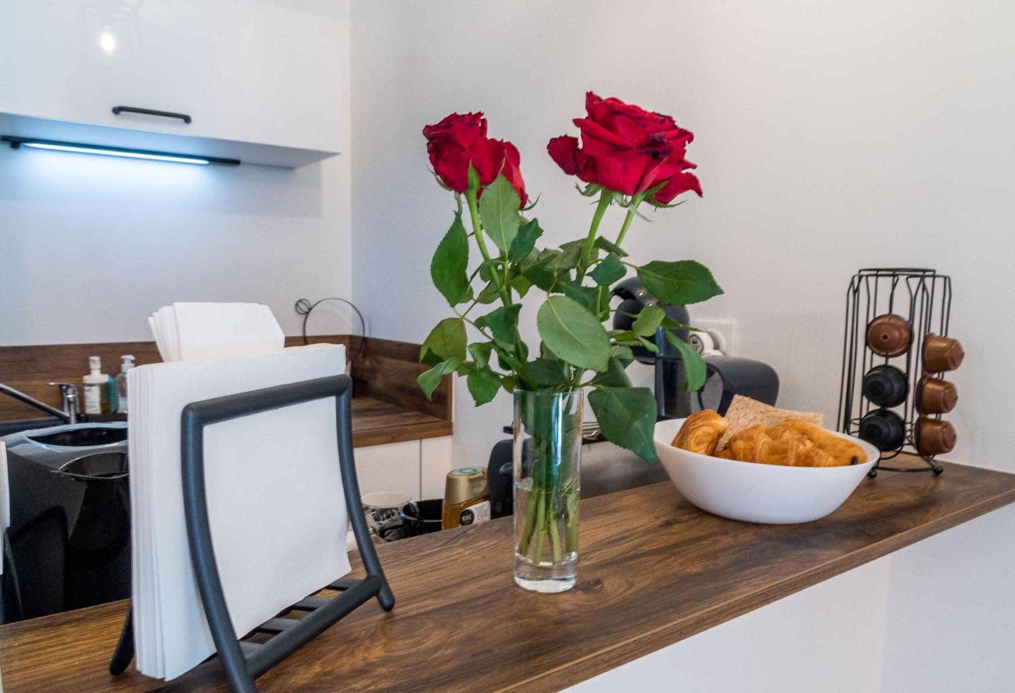 The Jungle Loft Paris-Tgv-Orly Confort Apartment Massy  Luaran gambar